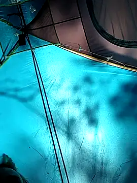 PainPriness online show from 29, 9, 2025