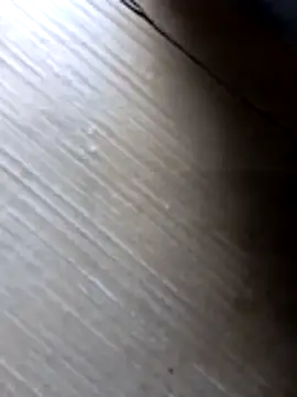 liza-212 online show from 10, 10, 2025