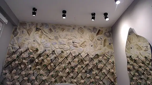 VenusBlazer online show from 1, 2, 2026