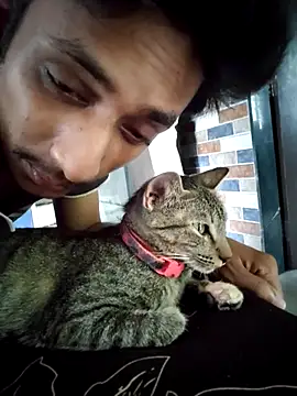 yung cplz online show from 14, 9, 2025