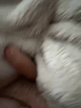 Snapshot of cumshot_foryou chatting on 7, 3, 2026 cumshot foryou online show from 7, 3, 2026