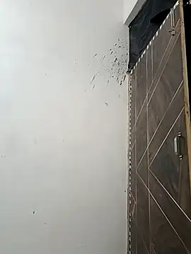 NoxiousFilename online show from 5, 10, 2025