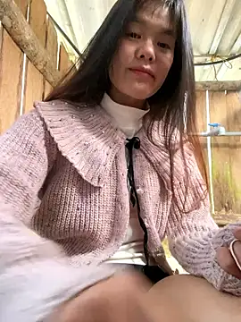 PhanHaa online show from 13, 1, 2026