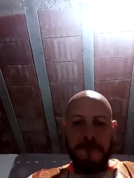 danmep8387 online show from 14, 4, 2026