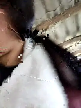 Sinejdk3 online show from 16, 2, 2026