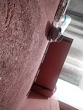 KingMaxiZ online show from 4, 10, 2025