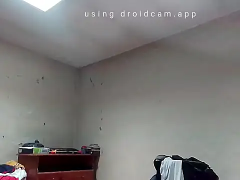 papito20cm online show from 8, 9, 2025