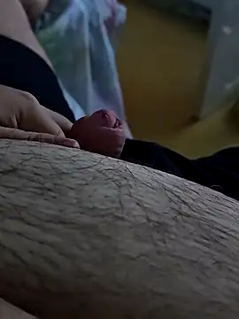 t-dog26 online show from 7, 10, 2025