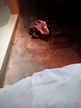 fanchunn online show from 9, 2, 2026