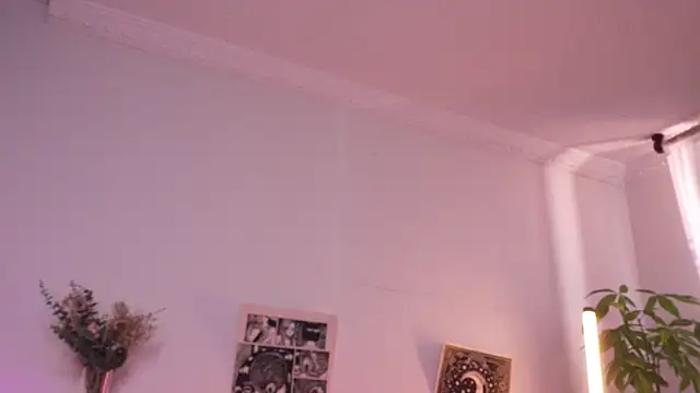 sophieee art online show from 7, 7, 2026