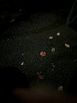 Snapshot of rinne0110 chatting on 5, 11, 2025 rinne0110 online show from 5, 11, 2025