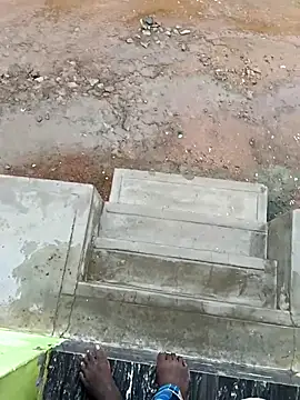 dolphiinn online show from 16, 10, 2025