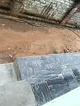 dolphiinn online show from 17, 10, 2025