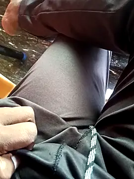 dolphiinn online show from 26, 11, 2025