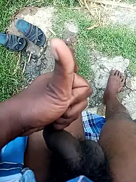 dolphiinn online show from 10, 1, 2026