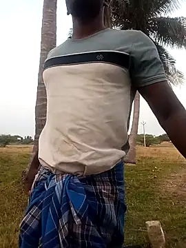 dolphiinn online show from 2, 3, 2026