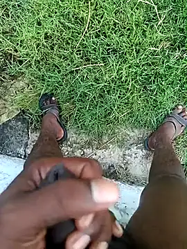 dolphiinn online show from 5, 3, 2026