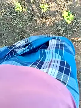 dolphiinn online show from 19, 3, 2026