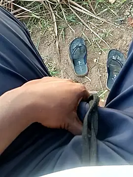 dolphiinn online show from 18, 4, 2026