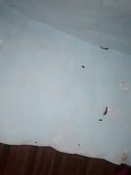 Rakhi j online show from 1, 2, 2026