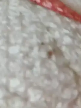 Markroco696 online show from 15, 11, 2025