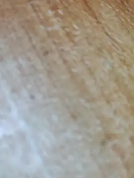 Markroco696 online show from 17, 11, 2025