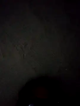 Brendaasnicar12 online show from 13, 11, 2025