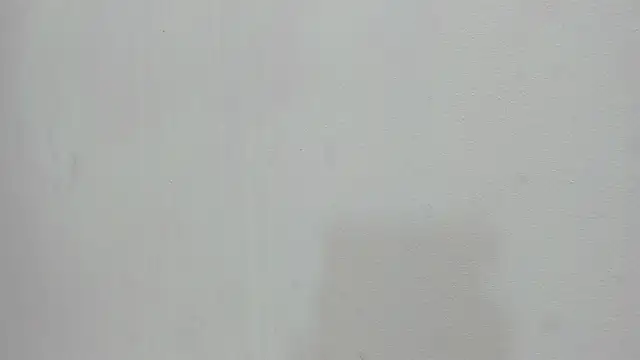 scarlett646 online show from 19, 11, 2025