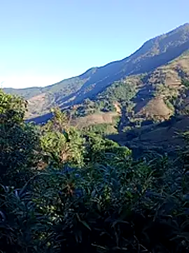 Snapshot of misa_00 chatting on 29, 11, 2025 misa 00 online show from 29, 11, 2025