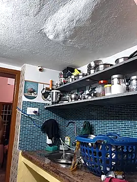 bakyasree143 online show from 17, 2, 2026