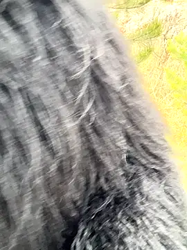 desiredude9 online show from 1, 11, 2025