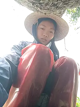 Ananine online show from 4, 4, 2026