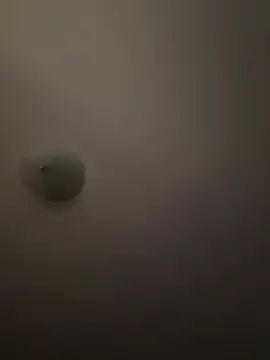 Troydaddy578 online show from 1, 4, 2026