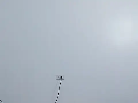 Siglemom sexy online show from 1, 4, 2026