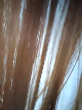 midnightmuse-03 online show from 14, 3, 2026