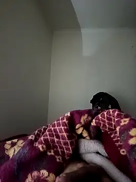 bomcasal online show from 17, 2, 2026