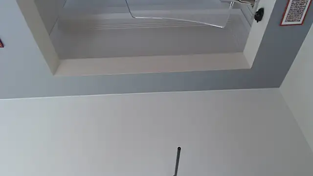 knodli online show from 8, 10, 2025