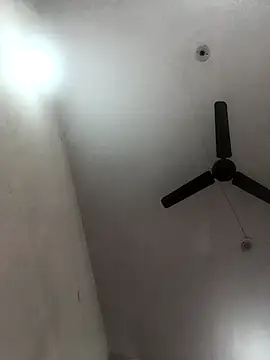 Appypie online show from 8, 11, 2025