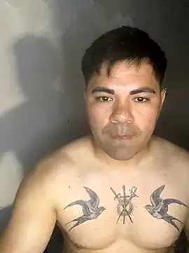 A-dvd-96 online show from 20, 11, 2025