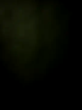 safadomoreno online show from 23, 11, 2025