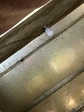 han-cute online show from 24, 11, 2025