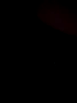 Snapshot of stevo170t chatting on 13, 11, 2025 stevo170t online show from 13, 11, 2025