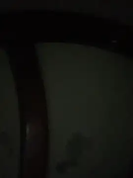 Bruno18cmmmmkk online show from 4, 12, 2025