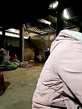 ngan-cute online show from 8, 1, 2026