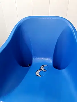 Snapshot of siya_rani67 chatting on 14, 9, 2025 siya rani67 online show from 14, 9, 2025