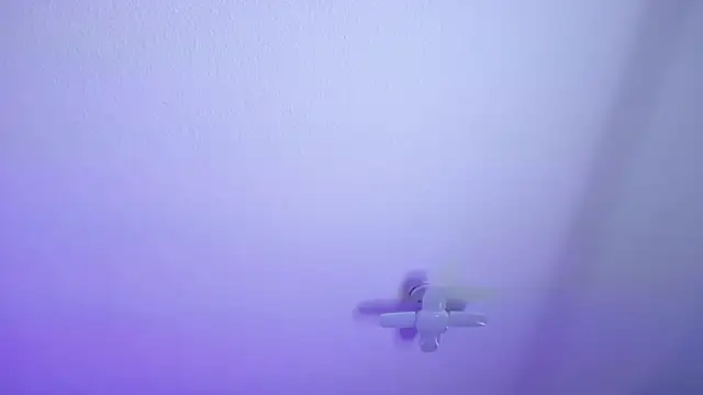  Charlotte Collins  online show from 30, 3, 2026