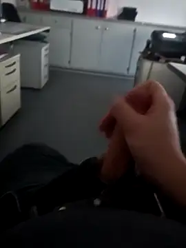 stunning stallion online show from 8, 2, 2026