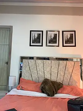 Snapshot of RedVelvet_Dream chatting on 11, 9, 2025 RedVelvet Dream online show from 11, 9, 2025