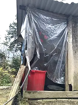 Snapshot of liu-liusexy chatting on 19, 1, 2026 liu-liusexy online show from 19, 1, 2026