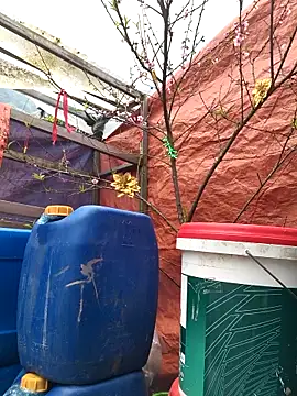 Snapshot of liu-liusexy chatting on 15, 2, 2026 liu-liusexy online show from 15, 2, 2026